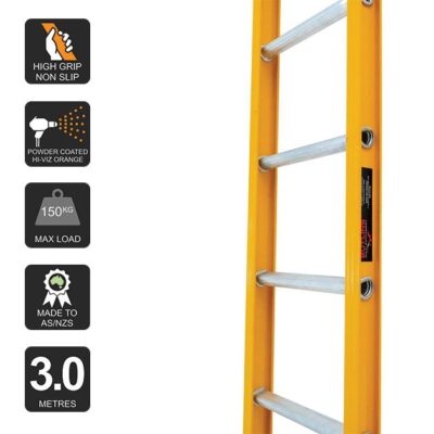 3.0m Butlin Straight Ladder