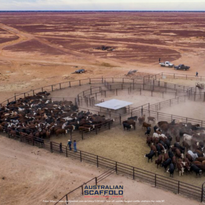 Biggest Cattle Station in Australia