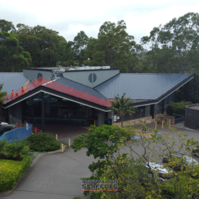 Roof Edge Protection Macquarie Park