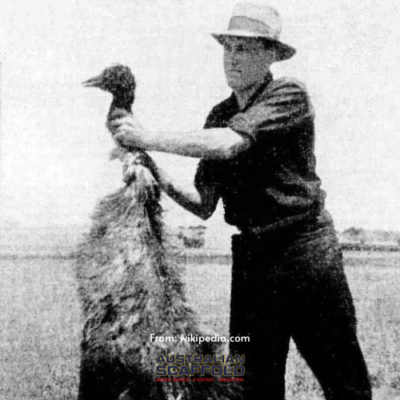 a man killing a emu in the emu war